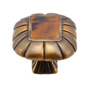 Rectangle Knob with Penshell Inlaid on Solid Brass in Estate Dover with Tiger Penshell