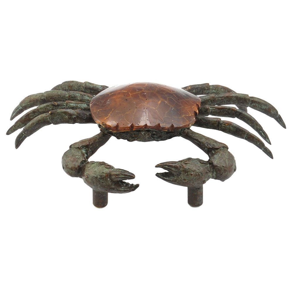 Solid Brass Small Sea Crab 1 5/8" Centers Pull in Tiger Penshell