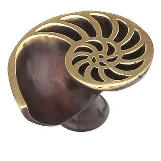 Solid Brass Sea Shell Knob in Dark Bronze
